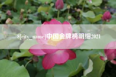 冷水江中国金牌榜明细2021