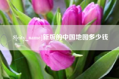 冷水江新版的中国地图多少钱