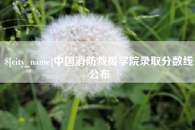 冷水江中国消防救援学院录取分数线公布