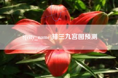冷水江排三九宫图预测