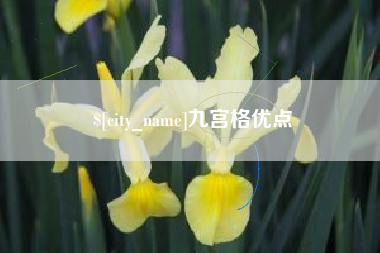 冷水江九宫格优点