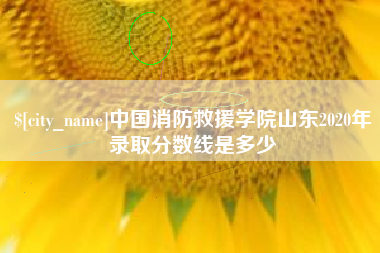 冷水江中国消防救援学院山东2020年录取分数线是多少