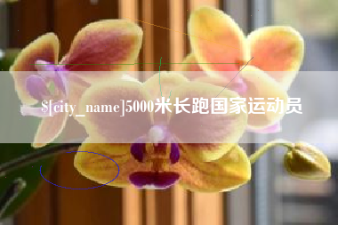 冷水江5000米长跑国家运动员