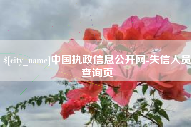 冷水江中国执政信息公开网-失信人员查询页