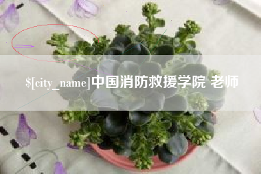 冷水江中国消防救援学院 老师