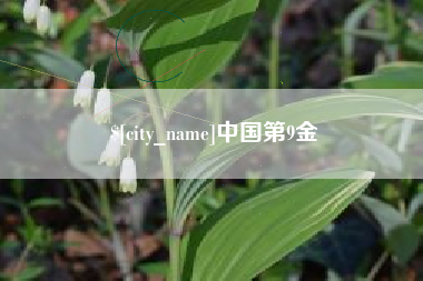 冷水江中国第9金