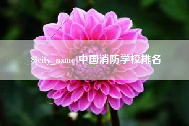 冷水江中国消防学校排名