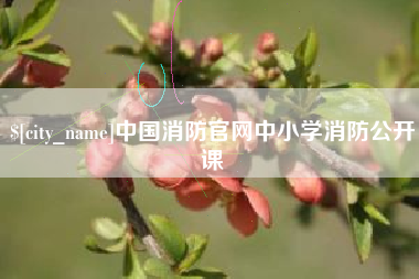 冷水江中国消防官网中小学消防公开课