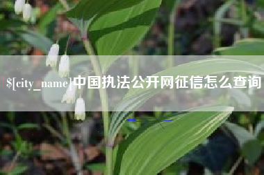 冷水江中国执法公开网征信怎么查询