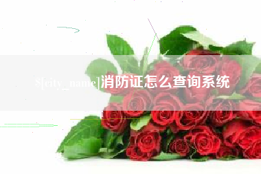 冷水江消防证怎么查询系统