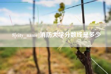 冷水江消防大学分数线是多少