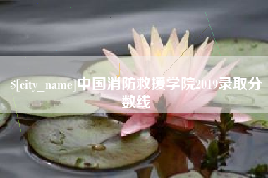冷水江中国消防救援学院2019录取分数线