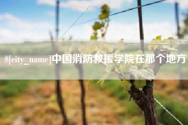 冷水江中国消防救援学院在那个地方
