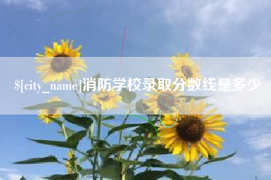 冷水江消防学校录取分数线是多少