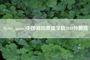 冷水江中国消防救援学院2018分数线
