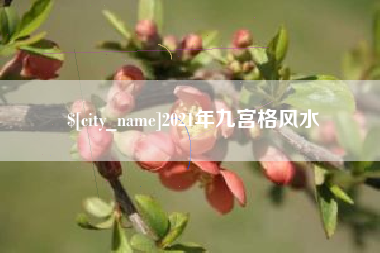 冷水江2021年九宫格风水