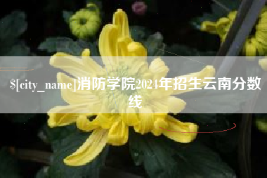 冷水江消防学院2024年招生云南分数线