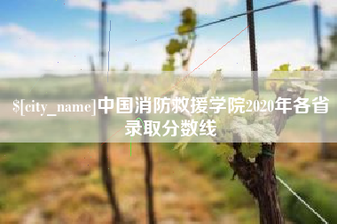 冷水江中国消防救援学院2020年各省录取分数线