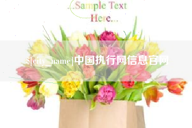 冷水江中国执行网信息官网