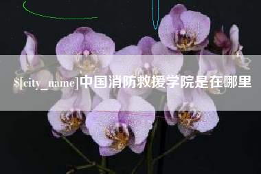 冷水江中国消防救援学院是在哪里