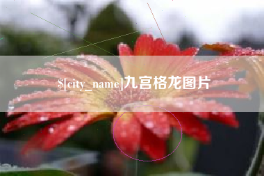 冷水江九宫格龙图片