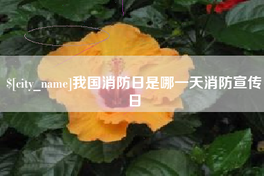 冷水江我国消防日是哪一天消防宣传日