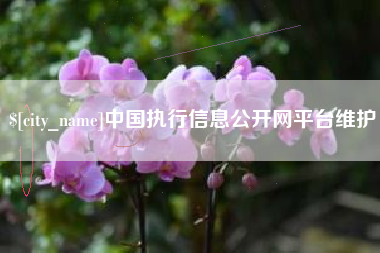 冷水江中国执行信息公开网平台维护