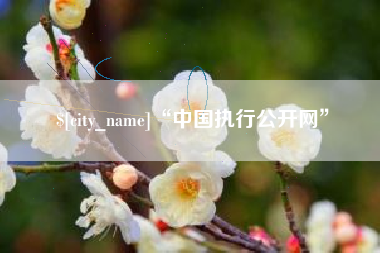 冷水江“中国执行公开网”