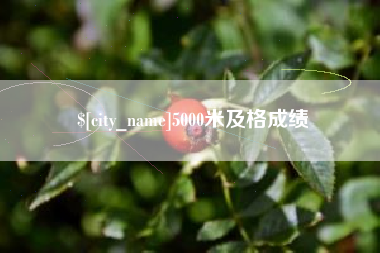 冷水江5000米及格成绩