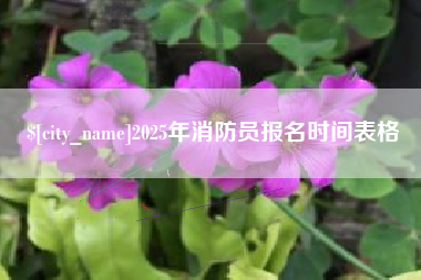 冷水江2025年消防员报名时间表格