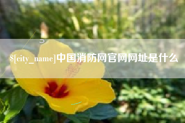 冷水江中国消防网官网网址是什么