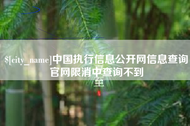 冷水江中国执行信息公开网信息查询官网限消中查询不到