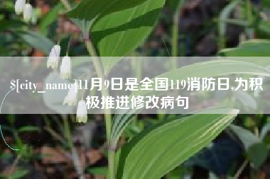 冷水江11月9日是全国119消防日,为积极推进修改病句