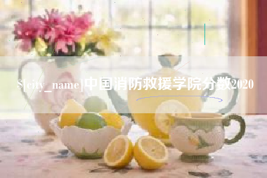 冷水江中国消防救援学院分数2020