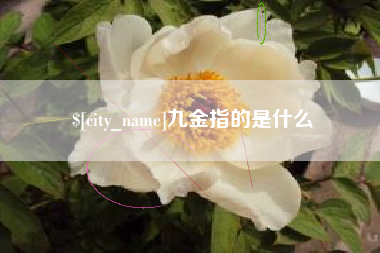 冷水江九金指的是什么