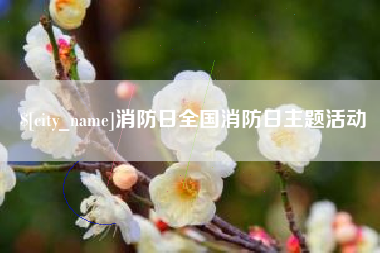 冷水江消防日全国消防日主题活动