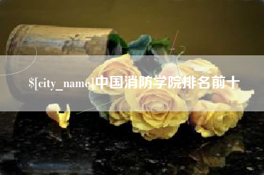 冷水江中国消防学院排名前十