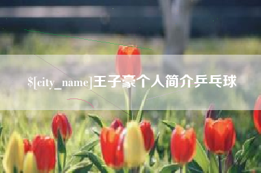 冷水江王子豪个人简介乒乓球