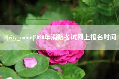 冷水江2020年消防考试网上报名时间