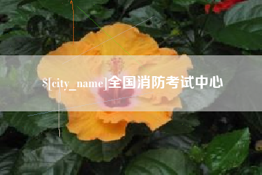 冷水江全国消防考试中心