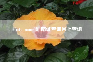 冷水江消防证查询网上查询