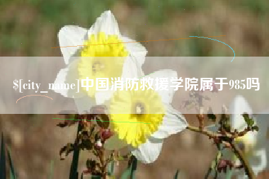 冷水江中国消防救援学院属于985吗