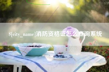 冷水江消防资格证怎么查询系统