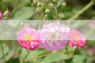 冷水江第九金是