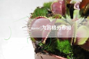 冷水江九宫格分布图