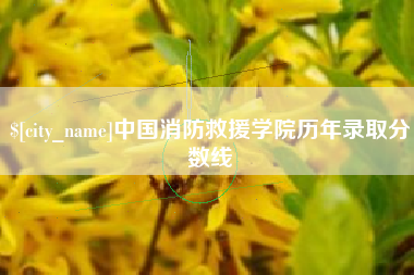 冷水江中国消防救援学院历年录取分数线