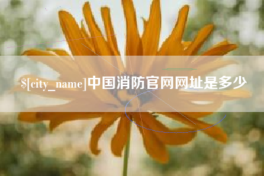 冷水江中国消防官网网址是多少