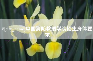 冷水江中国消防救援学院招生身体要求