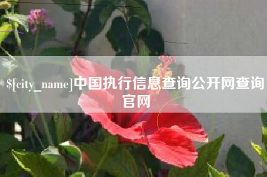 冷水江中国执行信息查询公开网查询官网