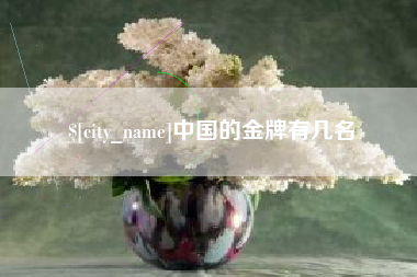 冷水江中国的金牌有几名